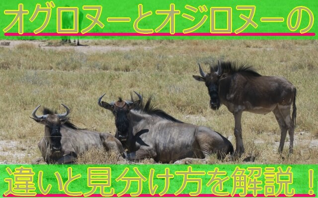 Thumbnail of post image 127